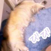 ヒメ日記 2025/03/25 17:19 投稿 びび Candy×Candy （キャンディ×キャンディ）