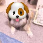 ヒメ日記 2025/04/12 17:03 投稿 びび Candy×Candy （キャンディ×キャンディ）