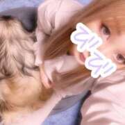 ヒメ日記 2025/04/23 16:10 投稿 びび Candy×Candy （キャンディ×キャンディ）