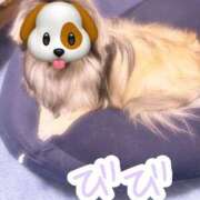 ヒメ日記 2025/06/16 14:42 投稿 びび Candy×Candy （キャンディ×キャンディ）