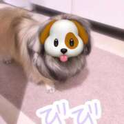 ヒメ日記 2025/06/21 17:37 投稿 びび Candy×Candy （キャンディ×キャンディ）