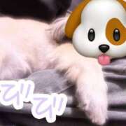 ヒメ日記 2025/08/12 17:00 投稿 びび Candy×Candy （キャンディ×キャンディ）