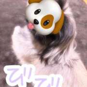 ヒメ日記 2025/09/26 17:54 投稿 びび Candy×Candy （キャンディ×キャンディ）