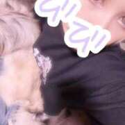 ヒメ日記 2025/11/07 16:41 投稿 びび Candy×Candy （キャンディ×キャンディ）