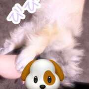 ヒメ日記 2025/11/11 15:49 投稿 びび Candy×Candy （キャンディ×キャンディ）