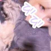 ヒメ日記 2025/11/16 15:21 投稿 びび Candy×Candy （キャンディ×キャンディ）