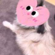 びび オハ🤘 Candy×Candy （キャンディ×キャンディ）