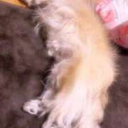 ヒメ日記 2026/01/25 17:03 投稿 びび Candy×Candy （キャンディ×キャンディ）