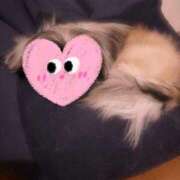 びび オハ🤘 Candy×Candy （キャンディ×キャンディ）