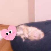 びび オハ🤘 Candy×Candy （キャンディ×キャンディ）