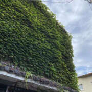 ヒメ日記 2025/08/02 20:54 投稿 あゆみ TSUBAKI(つばき)土浦店