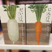 ヒメ日記 2025/10/02 12:06 投稿 あゆみ TSUBAKI(つばき)土浦店