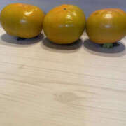 ヒメ日記 2025/10/10 20:55 投稿 あゆみ TSUBAKI(つばき)土浦店