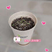 ヒメ日記 2025/10/12 22:43 投稿 あゆみ TSUBAKI(つばき)土浦店