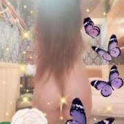 ヒメ日記 2024/12/24 05:30 投稿 槙島シエラ 横浜ダンディー