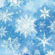 ヒメ日記 2025/03/04 13:59 投稿 槙島シエラ 横浜ダンディー