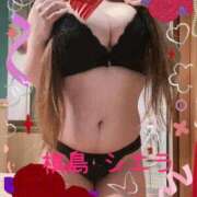 ヒメ日記 2025/03/21 05:28 投稿 槙島シエラ 横浜ダンディー