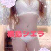 ヒメ日記 2025/03/25 05:24 投稿 槙島シエラ 横浜ダンディー