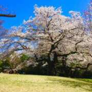 ヒメ日記 2025/04/26 12:00 投稿 レイカ びしょぬれ新人秘書