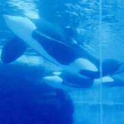 ヒメ日記 2025/07/24 12:00 投稿 レイカ びしょぬれ新人秘書