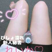 ヒメ日記 2025/11/11 12:00 投稿 レイカ びしょぬれ新人秘書