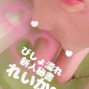 ヒメ日記 2025/11/14 12:00 投稿 レイカ びしょぬれ新人秘書