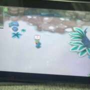 ヒメ日記 2025/03/15 11:06 投稿 ゆず ポッキリ学園 ～モテモテハーレムごっこ～