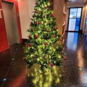 ヒメ日記 2024/12/17 03:00 投稿 ゆうか 熟女の風俗最終章 宇都宮店