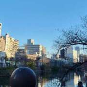 ヒメ日記 2024/12/17 07:50 投稿 ゆうか 熟女の風俗最終章 宇都宮店