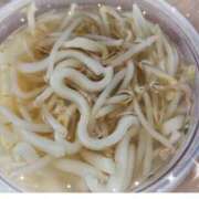 ヒメ日記 2025/02/16 08:10 投稿 ゆうか 熟女の風俗最終章 宇都宮店