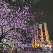 ヒメ日記 2025/04/02 21:02 投稿 ゆうか 熟女の風俗最終章 宇都宮店