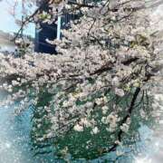 ヒメ日記 2025/04/09 14:11 投稿 ゆうか 熟女の風俗最終章 宇都宮店