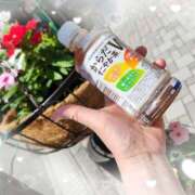 ヒメ日記 2025/06/05 11:02 投稿 ゆうか 熟女の風俗最終章 宇都宮店