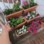 ヒメ日記 2025/06/30 08:41 投稿 ゆうか 熟女の風俗最終章 宇都宮店