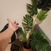 ヒメ日記 2025/07/27 22:41 投稿 ゆうか 熟女の風俗最終章 宇都宮店