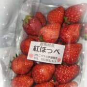 ヒメ日記 2026/02/02 05:21 投稿 ゆうか 熟女の風俗最終章 宇都宮店