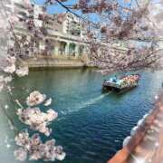 ヒメ日記 2026/03/24 11:41 投稿 ゆうか 熟女の風俗最終章 宇都宮店