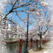 ヒメ日記 2026/03/25 00:02 投稿 ゆうか 熟女の風俗最終章 宇都宮店