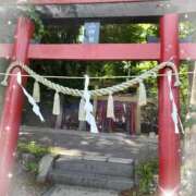 ヒメ日記 2026/05/20 12:51 投稿 ゆうか 熟女の風俗最終章 宇都宮店
