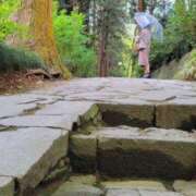 ヒメ日記 2025/03/16 15:50 投稿 カオン マドンナ(仙台)