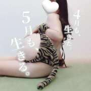 ヒメ日記 2025/05/02 09:00 投稿 カオン マドンナ(仙台)