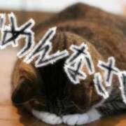 ヒメ日記 2025/10/09 10:10 投稿 カオン マドンナ(仙台)