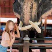 ヒメ日記 2025/07/13 23:54 投稿 Otone THE PREMIUM （プレミアム）