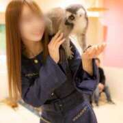 ヒメ日記 2026/02/16 15:33 投稿 Otone THE PREMIUM （プレミアム）