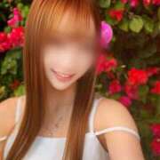 ヒメ日記 2026/04/03 08:55 投稿 Otone THE PREMIUM （プレミアム）