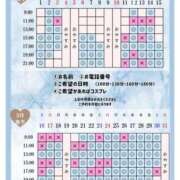 ヒメ日記 2026/04/23 20:25 投稿 Otone THE PREMIUM （プレミアム）