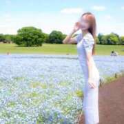ヒメ日記 2026/05/10 10:02 投稿 Otone THE PREMIUM （プレミアム）