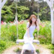 ヒメ日記 2026/05/19 08:15 投稿 Otone THE PREMIUM （プレミアム）
