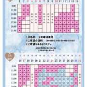 ヒメ日記 2026/05/20 10:12 投稿 Otone THE PREMIUM （プレミアム）