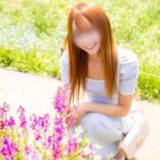ヒメ日記 2026/06/12 12:03 投稿 Otone THE PREMIUM （プレミアム）